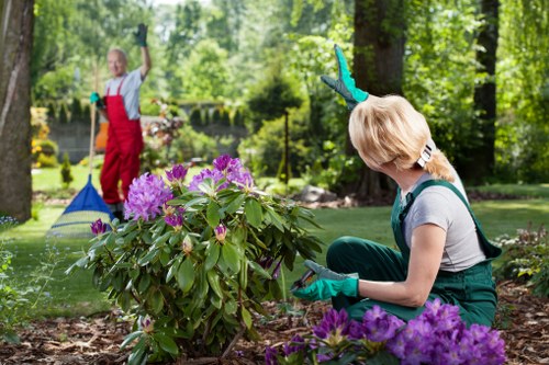 A spacious garden being cleared by professionals in Golders Green