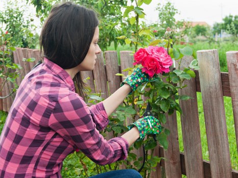 Eco-friendly hedge trimming practices in Golders Green