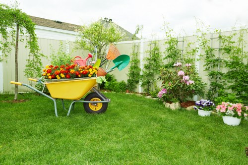 Tree removal process with specialized equipment