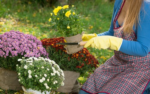 Customized outdoor garden layout