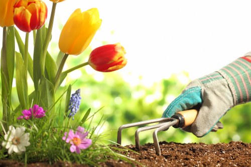 Local hedge trimming professionals in Golders Green