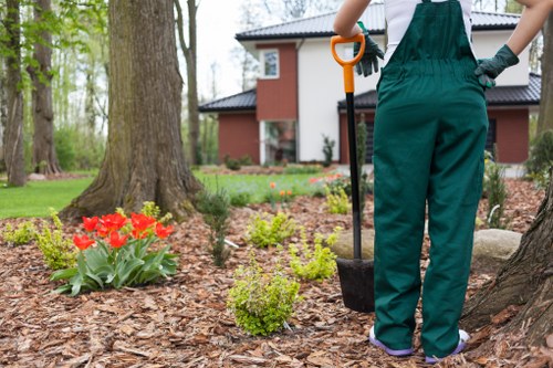 Professional landscapers working on a garden project